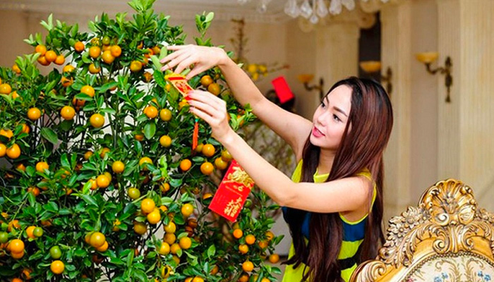 Cây quất mang ý nghĩa sung túc may mắn